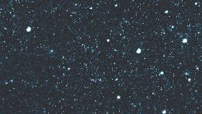 Ambos aseguran que eran justo lo que estaban buscando.