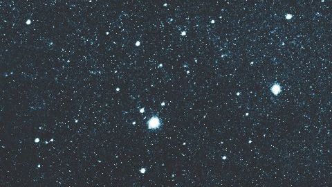 Ambos aseguran que eran justo lo que estaban buscando.