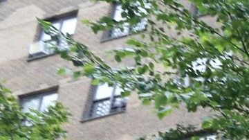 Libre de humo en NYCHA, campaña diseñada para crear la vivienda más sana para residentes y trabajadores.