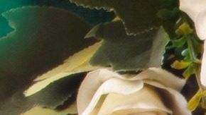 La carta del diablo es una de las mas controversiales.