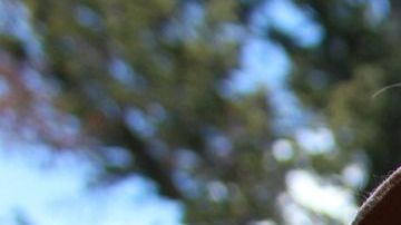 Cada signo eleva su autoestima de manera diferente.