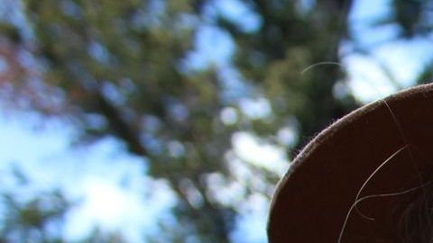 Cada signo eleva su autoestima de manera diferente.