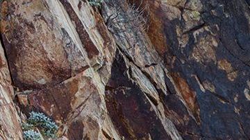 Chevrolet Trailblazer 2021.
Crédito: Cortesía GM.