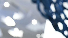 Una sola botella te sirve para hacer una gran cantidad de cosas.