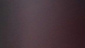 wanda nara lamborghini