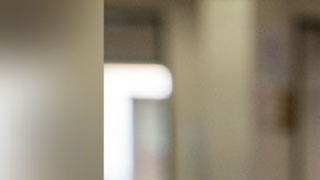 wendys-sandwich-gratis