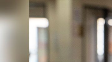 wendys-sandwich-gratis