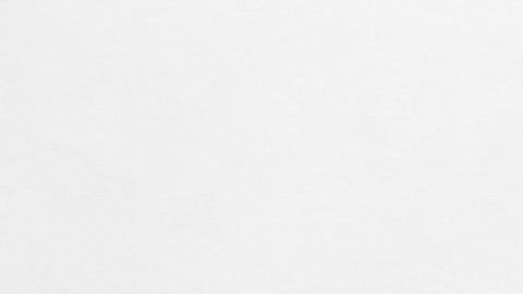 Todos sus embarazos fueron múltiples.