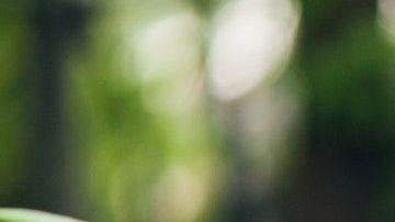 Escuchar música mejora tu estado de ánimo.