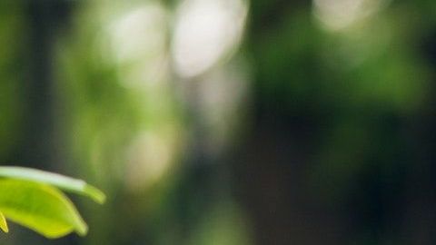 Escuchar música mejora tu estado de ánimo.