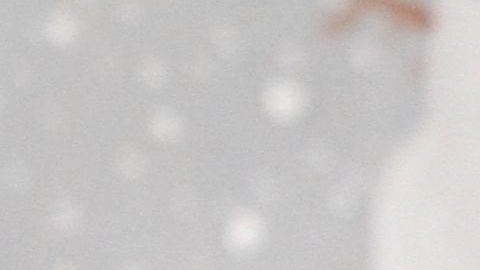 Estudiantes de la Escuela Media 80 de El Bronx, con su principal Emmanuel Polanco, donde los alumnos tienen la capacidad de realizar sus tares en las computadoras y la posibilidad de llevar Ipads a sus casas.