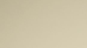 El alumnado de las Escuelas Públicas de Chicago es 46.5% latino.