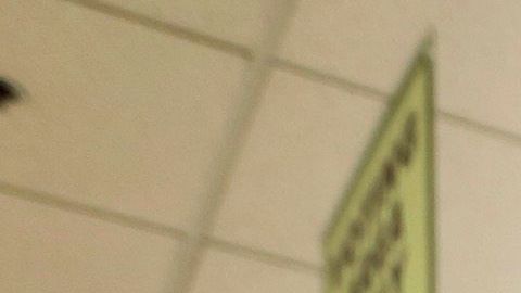 Los que ayuden en la elección del 8 de noviembre en las casillas electorales tendrán un salario más alto. (Aurelia Ventura/ La Opinion)