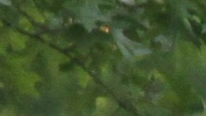 Regalarán bicicletas en Chicago además de candados, cascos y luces gratis a habitantes de Chicago que califiquen al plan apoyado por la alcaldesa Lori Lightfoot.