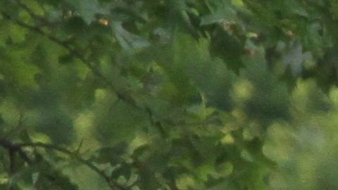 Regalarán bicicletas en Chicago además de candados, cascos y luces gratis a habitantes de Chicago que califiquen al plan apoyado por la alcaldesa Lori Lightfoot.