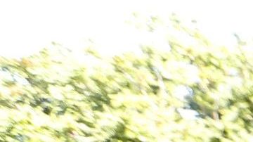 Los trabajadores móviles celebraron la aprobación de la ley./ Aurelia Ventura