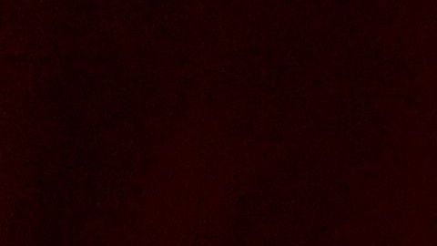 Melania Trump hablará desde la recién remodelada Rosadela de la Casa Blanca.