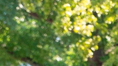 Grupo liberal cree que recortes en servicio postal costará la vida a muchas personas.