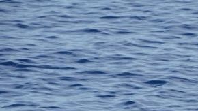 Imagen de la embarcación a remo en la que viajaban alguno de los migrantes que intentaban cruzar el Estrecho de Florida.