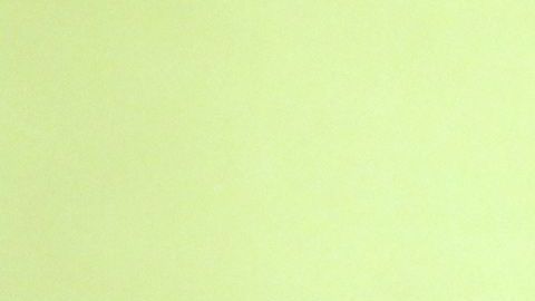 Manuel el 'Loco' Valdés