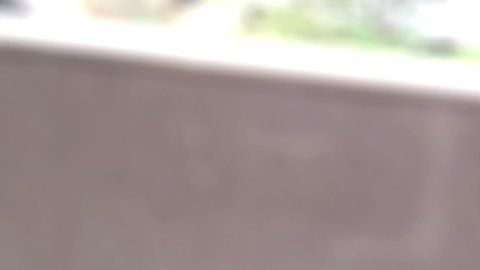 Carmen Valente Barbas es conocida internacionalmente por su contribución a la mejora de las técnicas de ventilación mecánica.