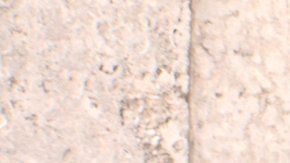 Benito Morejón se aseguró llegar temprano a la fila.