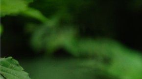 113793065_gettyimages-625850102