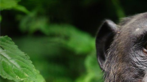 113793065_gettyimages-625850102