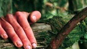 Julia "Butterfly" Hill