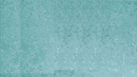 113841674_untitled-1