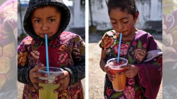 En Chiapas tratan de sustituir el consumo de refrescos por otras bebidas tradicionales o aguas de frutas.