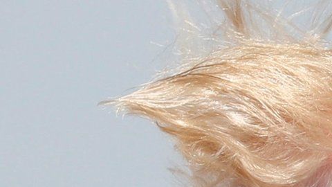 113919861_hi045965426