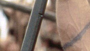 113949729_gettyimages-607404754-1