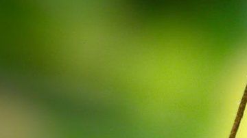 114046730_gettyimages-971015498