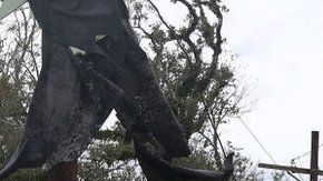 114145591_gettyimages-1269110510