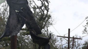 114145591_gettyimages-1269110510