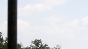 114160922_a9058f41-7c31-4225-aed5-32bbf1b87751