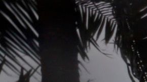 Otra tormenta tropical, Laura, avanza hacia la isla La Española.