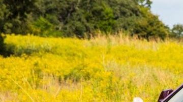 Rolls-Royce-Ghost-II