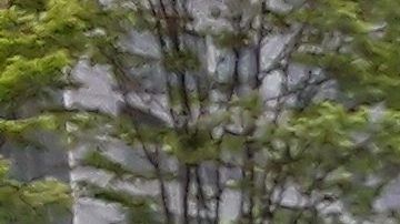 Muy pocos pasajeros para los taxis