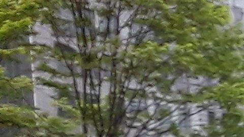 Muy pocos pasajeros para los taxis