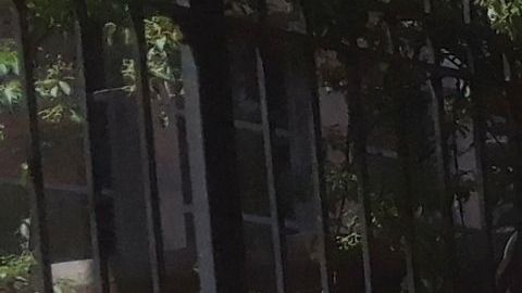 Hay muchos más candidatos de los que los votantes conocen