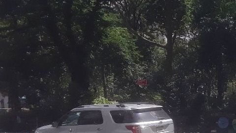 NYPD marcó la escena del homicidio en el elegante Madison Square Park