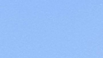 Preocupa capacidad electoral de NY