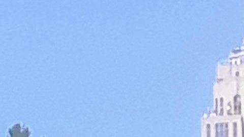 Preocupa capacidad electoral de NY