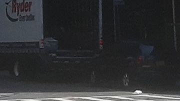 Volcanes de basura en la ciudad