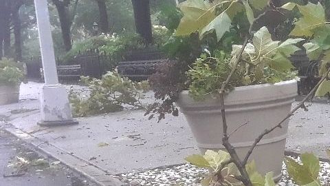 Fuertes lluvias y ráfagas de viento