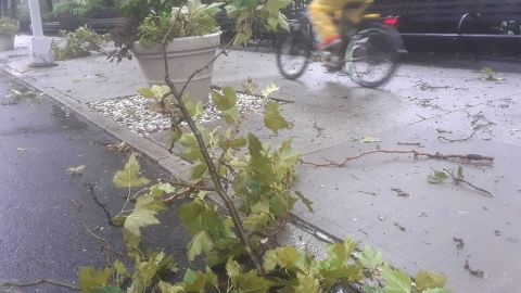 Fuertes lluvias y ráfagas de viento