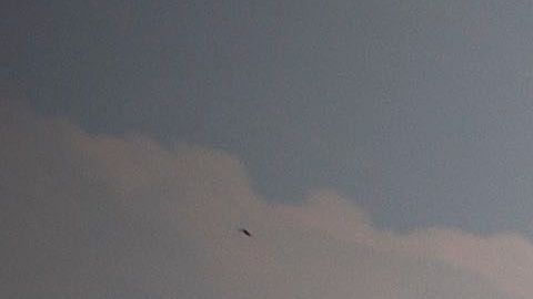 Bomberos de Ventura trabajan para extinguir el Lake Fire.