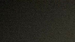 Biden solo ha adelantado que su compañera de fórmula será una mujer.